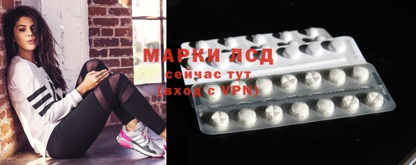 гашик Осташков