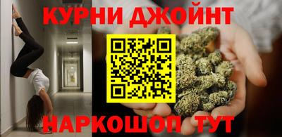 spice Гатчина