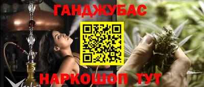 spice Гатчина