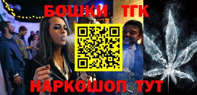 spice Гатчина