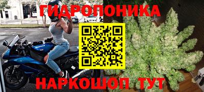 прущие грибы Гагарин