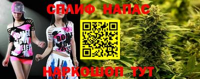 spice Гатчина