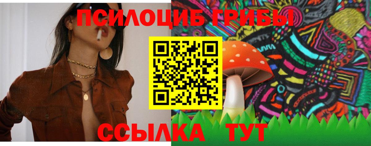 Псилоцибиновые грибы Cubensis Россошь